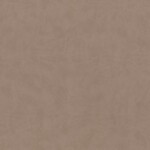 Light Mocha